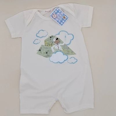 Petit Enterito Avion